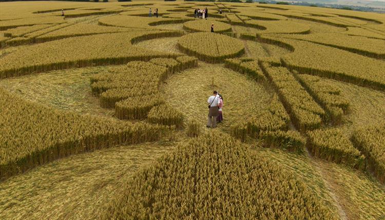 Crop Circles in the UK